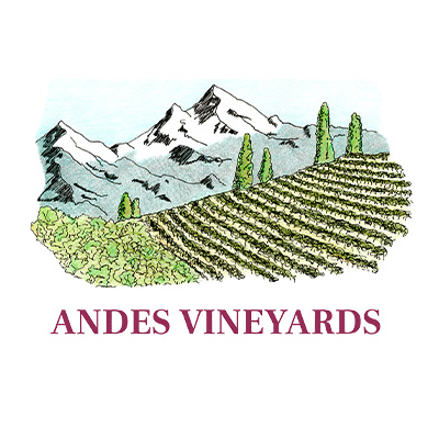 Andes Vineyards